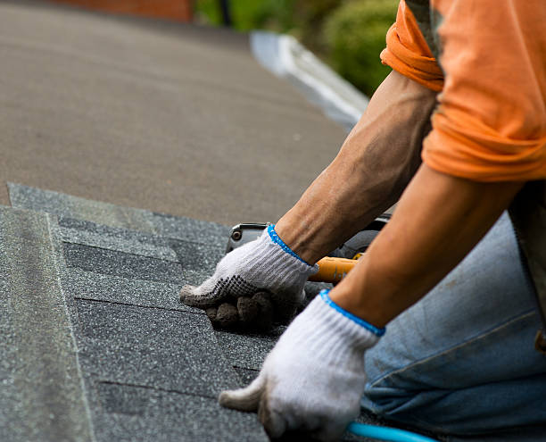 Best Local Roofing Companies  in Jonesville, MI